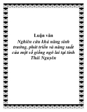 Luận văn: Nghiên cứu khả năng sinh trưởng, phát triển và năng suất của một số giống ngô lai tại tỉnh Thái Nguyên