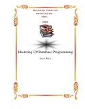 Mastering C# Database Programming