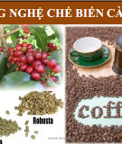 C ông nghệ chế biến cà phê