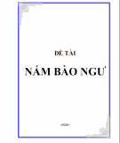 Đề tài nấm bào ngư 