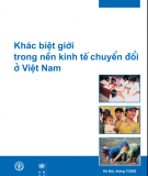 Khác biệt giới trong nền kinh tế chuyển đổi ở Việt Nam 