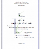 Báo cáo thực tập tổng hợp 