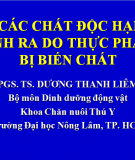 Các chất độc hại sinh ra do thực phẩm bị biến chất 