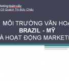 Môi trường văn hóa của nước Brazil và Mỹ ảnh hưởng đến hoạt động marketing 