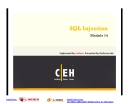 Module 14 - SQL Injection