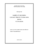LUẬN VĂN: NGHIÊN CỨU HỆ THỐNG CỤM MÁY TÍNH XỬ LÝ SONG SONG ROCKS VÀ ỨNG DỤNG