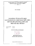 Đề Tài: Tạo dòng tế bào nấm men Saccharomyces Cerevisiae biểu hiện gen mã hóa enzym & α-Amylase trên bề mặt tế bào.