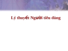 Lý thuyết Người tiêu dùng