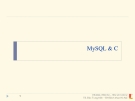 MySQL & C