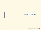 MySQL & PHP