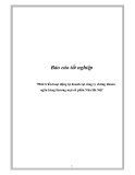 Báo cáo tốt nghiệp: “Phát triển hoạt động tự doanh tại công ty chứng khoán ngân hàng thương mại cổ phần Nhà Hà Nội” 