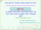 Vi sinh vật môi trường đất và vai trò của vi sinh vật trong đất 