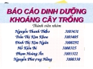 BÁO CÁO DINH DƯỠNG BÁO CÁO DINH DƯỠNG KHOÁNG CÂY TRỒNG KHOÁNG CÂY TRỒNG