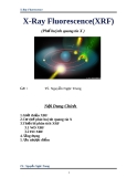 X-Ray Fluorescence(XRF)