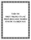 Luận văn: THỰC TRẠNG CỦA SỰ PHÂN HOÁ GIÀU NGHÈO Ở NƯỚC TA HIỆN NAY