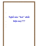 Nghề nào "hot" nhất hiện nay???
