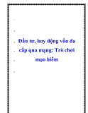 Đầu tư, huy động vốn đa cấp qua mạng: Trò chơi mạo hiểm