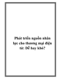 Phát triển nguồn nhân lực cho thương mại điện tử: Dễ hay khó?