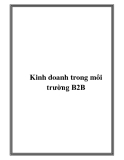 Kinh doanh trong môi trường B2B