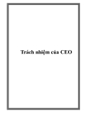 Trách nhiệm của CEO