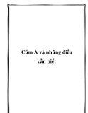 Cúm A và những điều cần biết