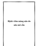 Bệnh viêm màng não do não mô cầu