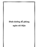 Dinh dưỡng để phòng ngừa sỏi thận