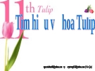 TÌM HIỂU VỀ HOA TULIP