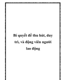 Bí quyết để thu hút, duy trì, và động viên người lao động