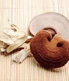 Tác dụng của nấm linh chi
