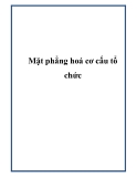 Mặt phẳng hoá cơ cấu tổ chức