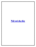 Nội soi dạ dày.