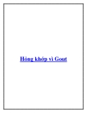 Hỏng khớp vì Gout