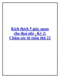 Kích thích 5 giác quan cho thai nhi  Kỳ 2 Chăm sóc từ tuần thứ 22