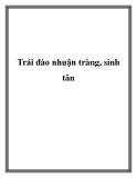 Trái đào nhuận tràng, sinh tân