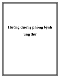 Hướng dương phòng bệnh ung thư.