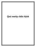 Quả mướp chữa bệnh