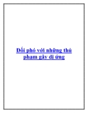 Đối phó với những thủ phạm gây dị ứng.