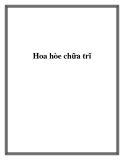 Hoa hòe chữa trĩ