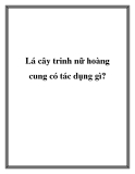 Lá cây trinh nữ hoàng cung có tác dụng gì?