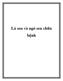 Lá sen và ngó sen chữa bệnh