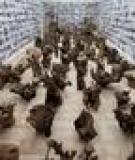 AI WEIWEI CHO RA MẮT NHỮNG TÁC PHẨM MỚI DÀNH RIÊNG CHO NHÀ TRIỂN LÃM NGHỆ THUẬT TẠI MUNICH