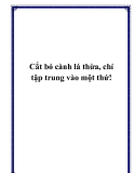 Cắt bỏ cành lá thừa, chỉ tập trung vào một thứ!