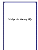 Ma lực của thương hiệu
