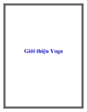 Giới thiệu Yoga