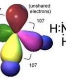 Xử lý khí NH3 bằng phương pháp hấp thụ