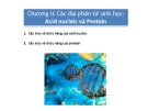 Chương II. Các đại phân tử sinh học: Acid nucleic và Protein