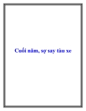 Cuối năm, sợ say tàu xe