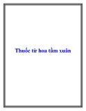 Thuốc từ hoa tầm xuân