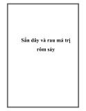 Sắn dây và rau má trị rôm sảy